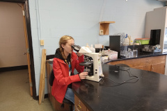 Sedgwick Elementary School student viewing the Plankton