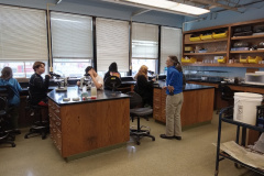 Studying Plankton at the Maine Maritime Academy Ocean Studies Lab with teacher Beverly Hawkins