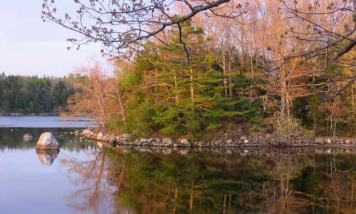 Evening light on Parker Island