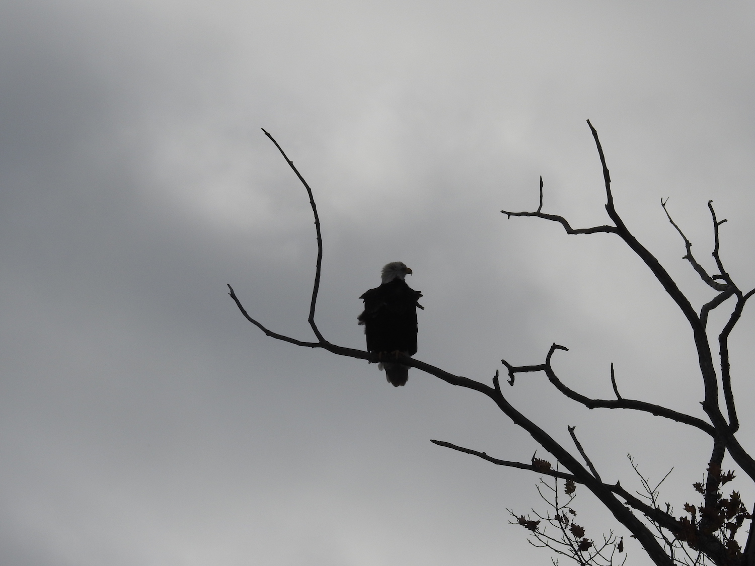 Photo by Caren Plank