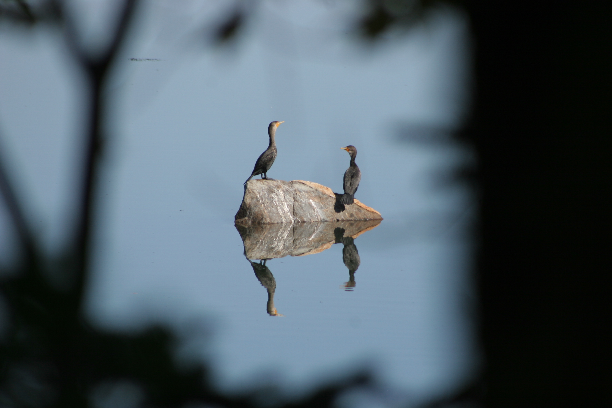 Photo by Caren Plank