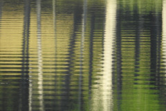 DSCN4204