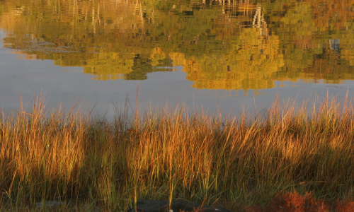 Bagaduce Watershed Scenic Views