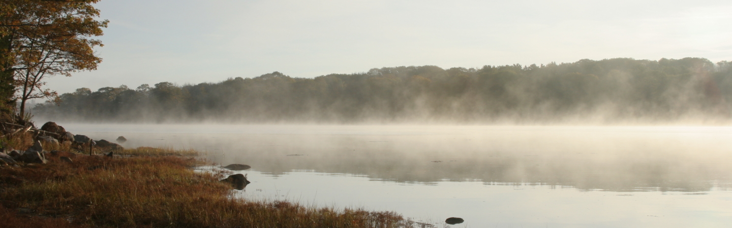 Bagaduce fog